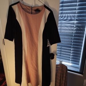 Short sleeve knee length business or event dress